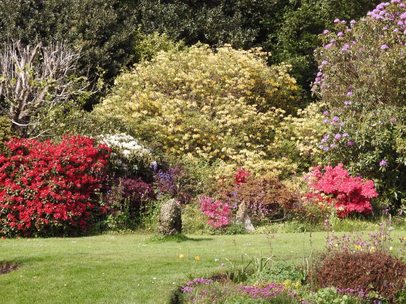 Haytor Gardens